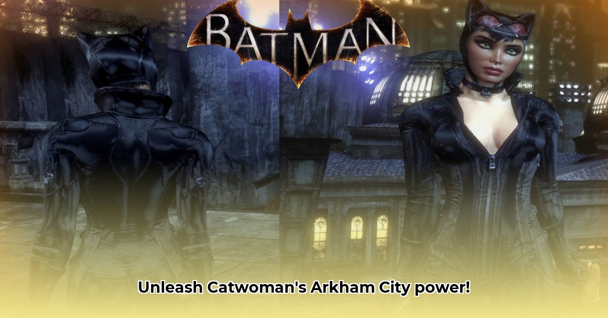 arkham-city-mods-catwoman
